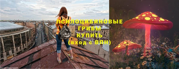 прущий лед Лиски